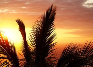 Co na stan zapalny pod pachami?