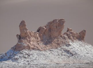Który zapach jest najmniej trwały?