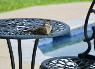 Czy 5 miesięczne dziecko może się kąpać w basenie?