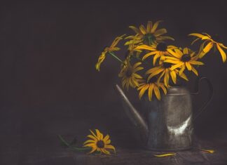 Co oznaczają żółte plamy od potu?